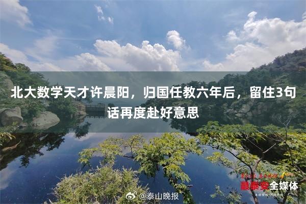 北大数学天才许晨阳，归国任教六年后，留住3句话再度赴好意思
