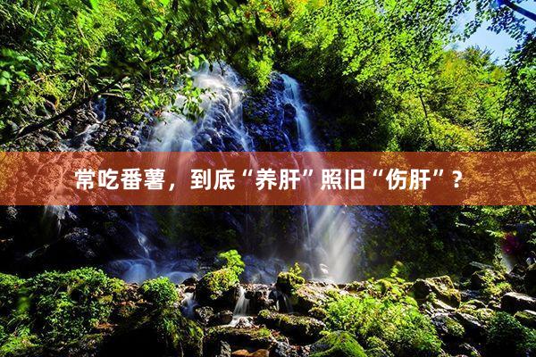 常吃番薯，到底“养肝”照旧“伤肝”？