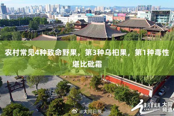农村常见4种致命野果，第3种乌桕果，第1种毒性堪比砒霜
