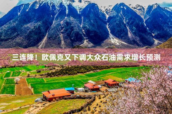 三连降！欧佩克又下调大众石油需求增长预测