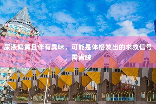 尿液偏黄且伴有臭味，可能是体格发出的求救信号，需青睐