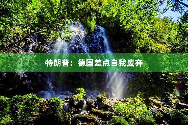特朗普：德国差点自我废弃