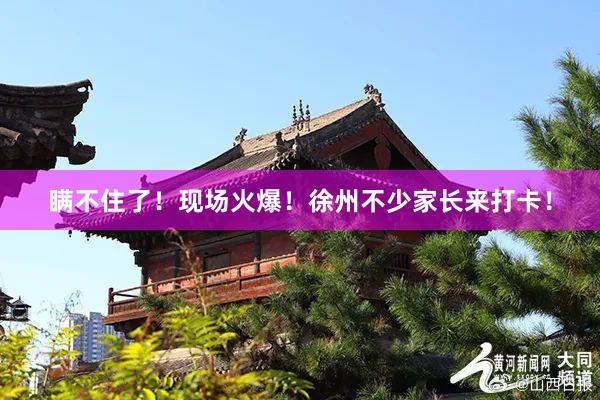 瞒不住了！现场火爆！徐州不少家长来打卡！