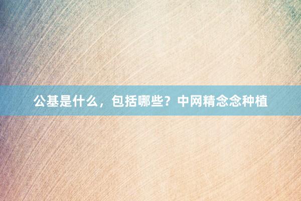 公基是什么，包括哪些？中网精念念种植