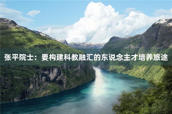 张平院士：要构建科教融汇的东说念主才培养旅途