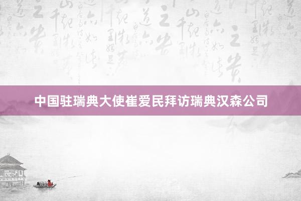 中国驻瑞典大使崔爱民拜访瑞典汉森公司