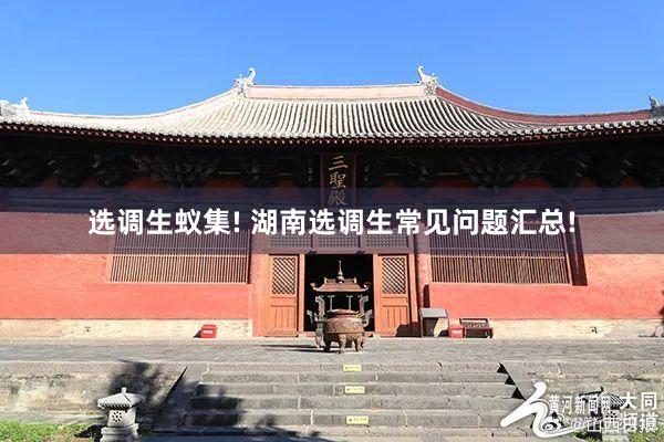 选调生蚁集! 湖南选调生常见问题汇总!