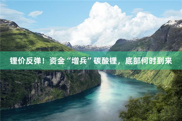锂价反弹！资金“增兵”碳酸锂，底部何时到来