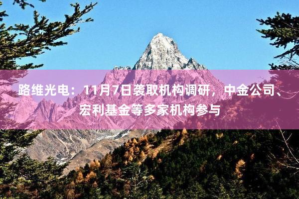 路维光电：11月7日袭取机构调研，中金公司、宏利基金等多家机构参与