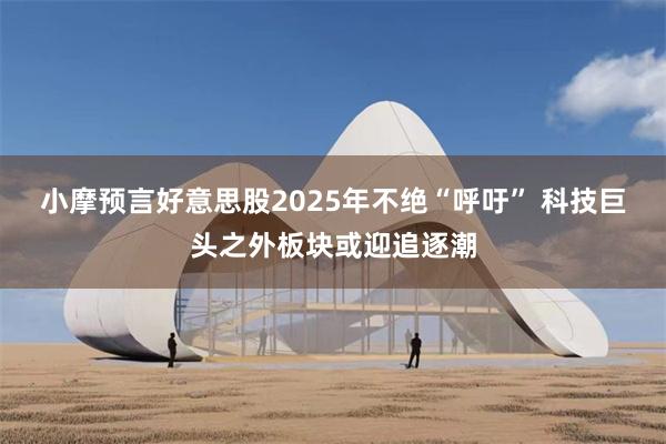 小摩预言好意思股2025年不绝“呼吁” 科技巨头之外板块或迎追逐潮