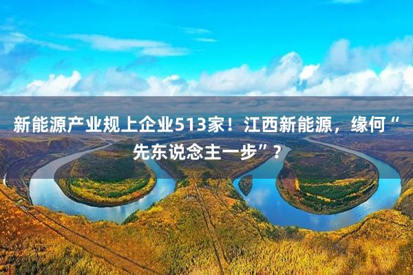新能源产业规上企业513家！江西新能源，缘何“先东说念主一步”？