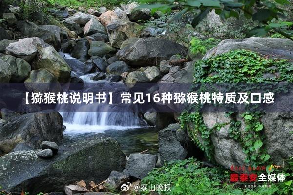 【猕猴桃说明书】常见16种猕猴桃特质及口感
