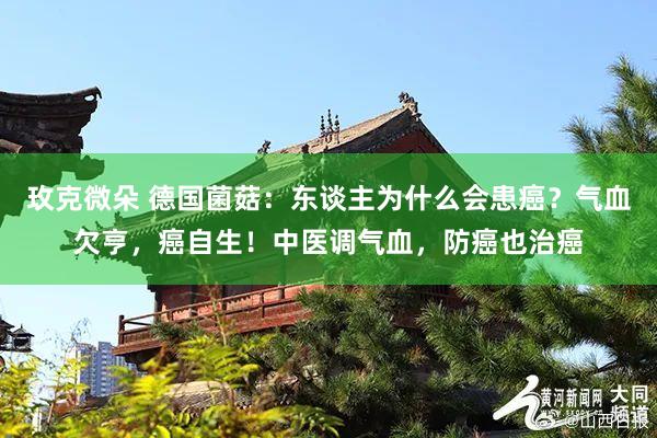 玫克微朵 德国菌菇：东谈主为什么会患癌？气血欠亨，癌自生！中医调气血，防癌也治癌