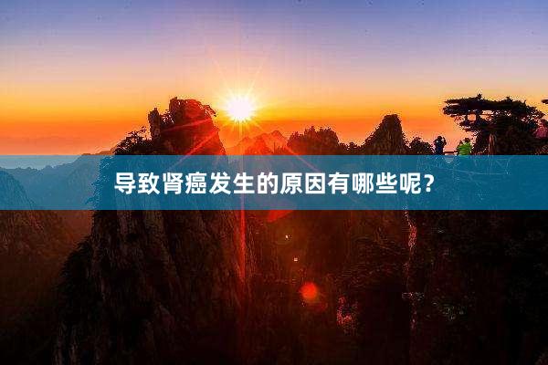 导致肾癌发生的原因有哪些呢？