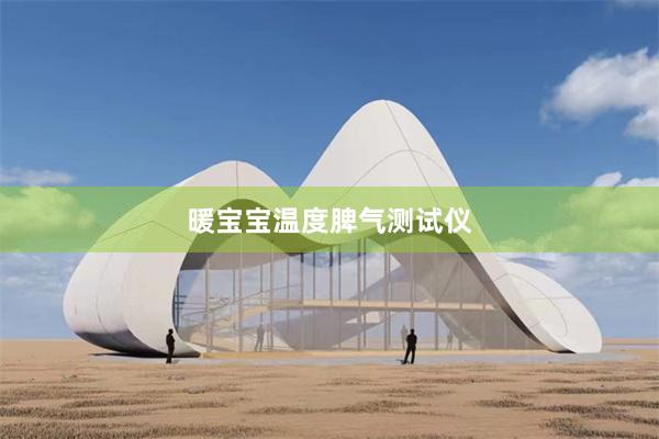 暖宝宝温度脾气测试仪