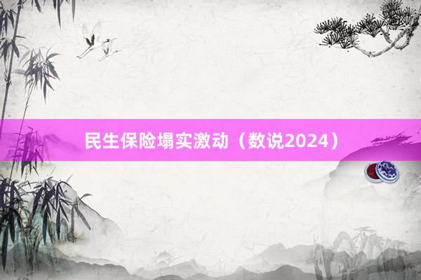 民生保险塌实激动（数说2024）