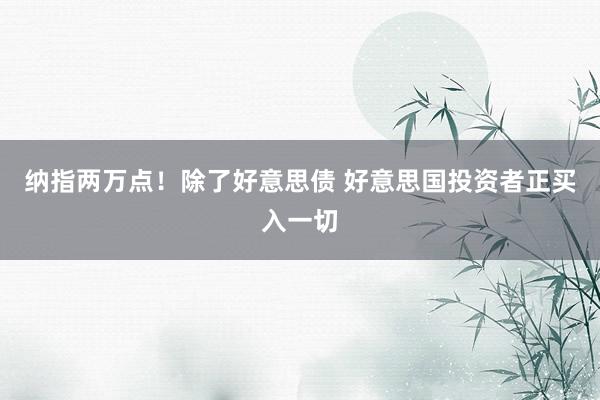 纳指两万点！除了好意思债 好意思国投资者正买入一切