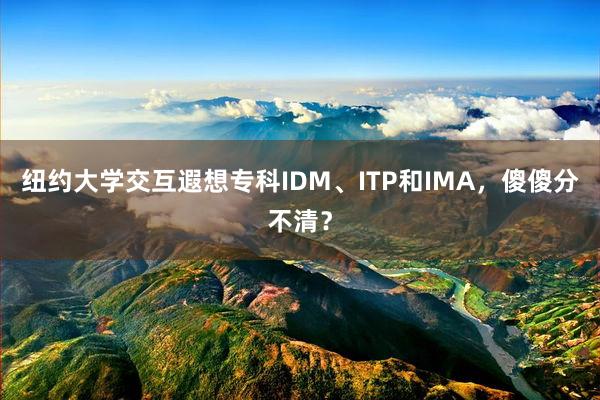 纽约大学交互遐想专科IDM、ITP和IMA，傻傻分不清？