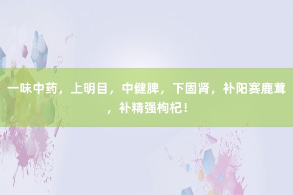 一味中药，上明目，中健脾，下固肾，补阳赛鹿茸，补精强枸杞！